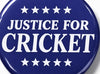 Justice For Cricket Shirt, Speak For Cricket Dog Protest Tee, Justice For Pets Awareness Shirt, Animal Rights Advocacy Tshirt, Cricket Dog Tribute Justice Apparel