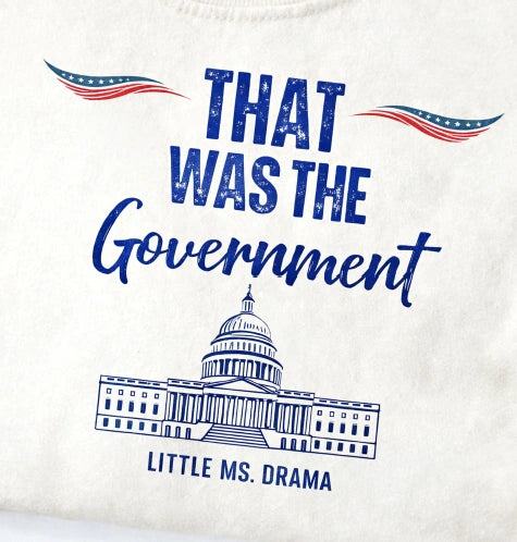 That Was the Government Shirt, Meme T-Shirt, Drama Graphic Tee, Funny Sassy Slogan Shirt, Pop Culture Quote Top