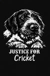Justice For Cricket Shirt, Animal Rights Advocacy Tee, Justice For Pets Protest Top, Cricket Dog Tribute Graphic Shirt,